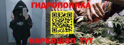 apvp Кунгур